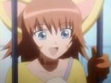 passel rosetta