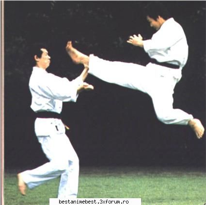 karate forma lupta fara armein care persoana loveste sau aparut jurul animor 1600,in insulele