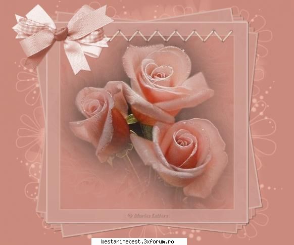 happy birthay mea februarie 1995 RrOoXxYy