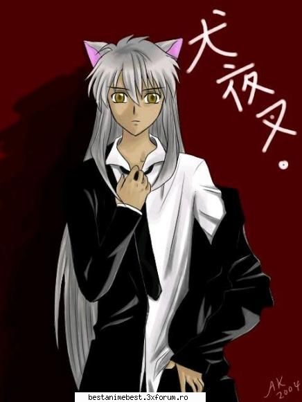 nu ma prea uit la acest e dragutz inuyasha inuyasha