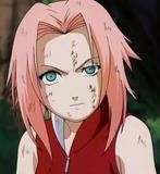 sakura and