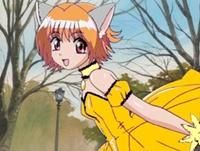 Albumui lui MewLemon - < )CoRiNa( > - Apartamente