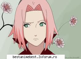 Albumul nostru - Sakura - Apartamente