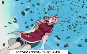 Albumul nostru - Sakura cu parul lung - Apartamente