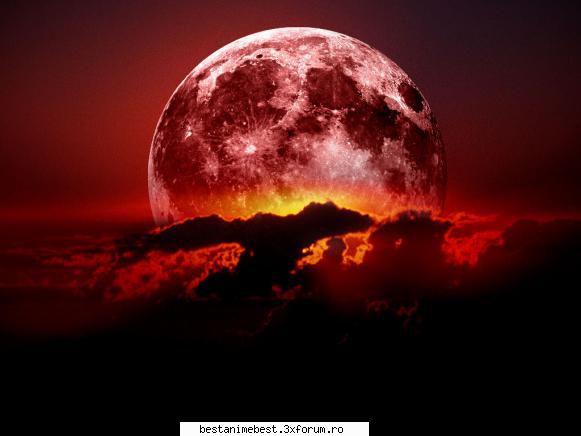 Albumul nostru - Lumea cu luna rosie - Apartamente