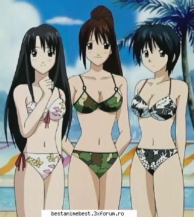 Albumul nostru - Hanako, Ayumi si Kuro la mare - Apartamente