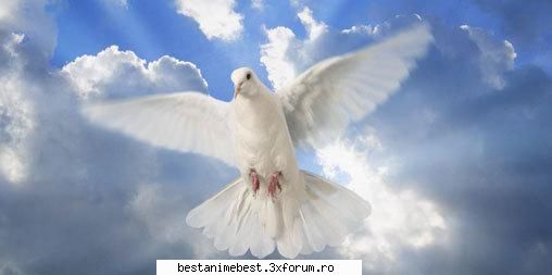 Bun venit noilor membrii! ^^ - imi place pe acest forum :D - Membri Noi