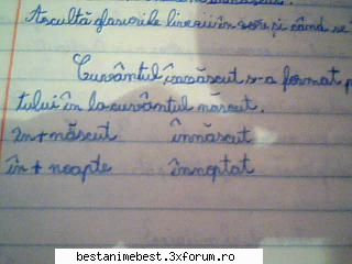 Cum scrieti? - au scriu asa ( e caietul de romana) - Cafenea