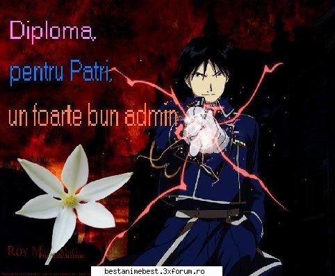 Diploma pentru admin - diploma pentru partri - Diplome