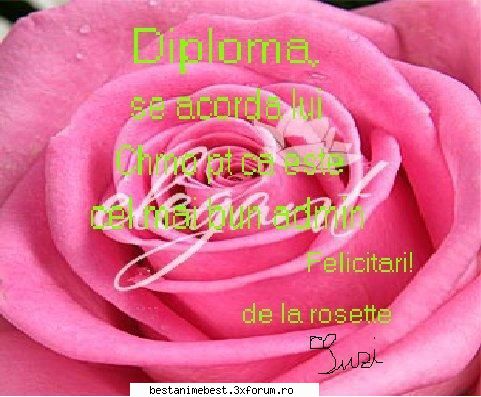 Diplome cadou - suzi-chan - Diplome