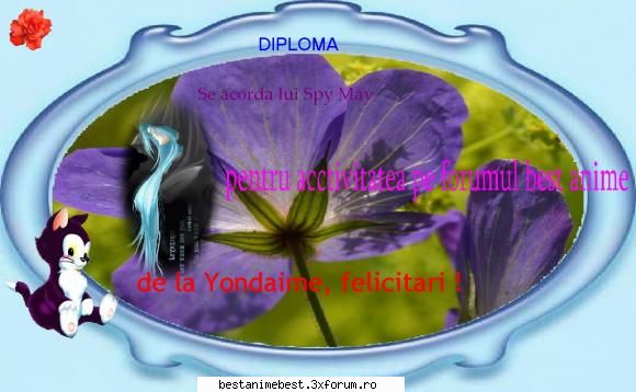 Diplome pentru acctivitate - Yondaime - Diplome