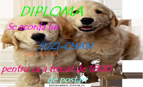 Diplome pentru altceva - pentru suzika ,la n.r de postari care il are - Diplome