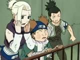 Echipa 10 - ino chouji si shikamaru - Grupul "Naruto"