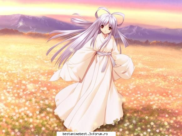 Kimonoul - ador kimono-urile - Kimonoul