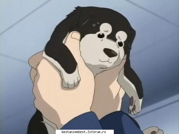 Poze amuzanta din Full metal alchemist - Spy_may - Full Metal Alchemist