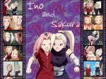 Sakura si Ino - suzi-chan - Grupul "Naruto"