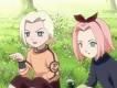 Sakura si Ino - suzi-chan - Grupul "Naruto"