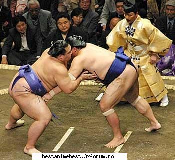 Sporturi - Primele doua dintre cele mai populare sporturi - Sumo si Baseball
