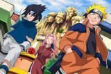 Tema Naruto - 1.Cum se numesc membrii echipei 10? 2.Ce inseamna - Grupul "Naruto"