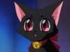 Zoey/Ichigo - si mie imi plac pisicile - Tokyo Mew Mew/Mew Mew Power