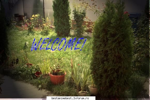 bun venit! ^^ - Rena Ryuugu - Welcome