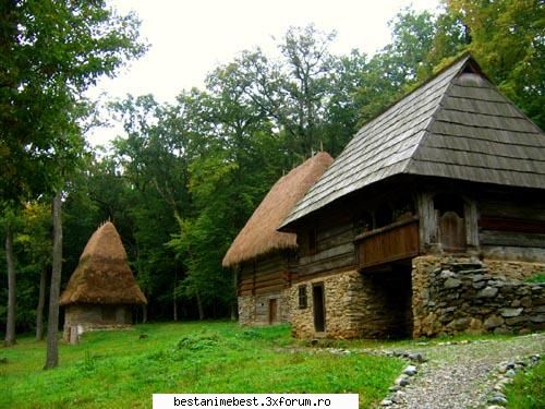 imagini din localitatea voastra - Muzeul Astra..Muzeul Satului :D - Cafenea