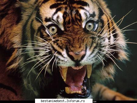 imagini infricosatoare - Orihime - Imagini Infricosatoare